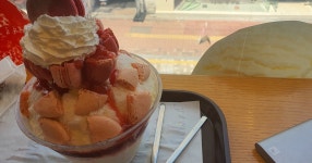 설빙이네요ㄷㄷ - 세리에매니아