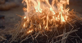 짚불구이 삼겹살 - 세리에매니아