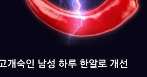 저의 구글광고 근황.JPG - 세리에매니아