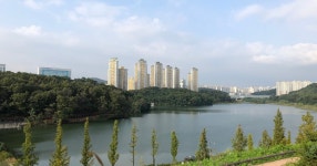 탈서울 2년차입니다 - 세리에매니아