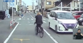 일본산 자라니 - 세리에매니아