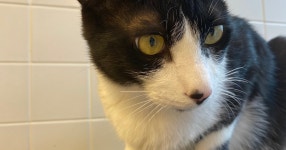 오랜만에 해태호두마루.jpg - 세리에매니아