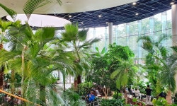 Convenient Facilities | Severance Hospital