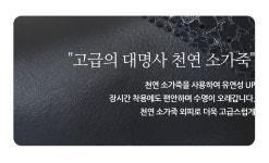 골프쇼핑은 골핑에서 | 아놀드파마 엑티브 - 블랙