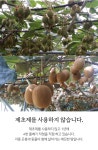 [산지직송] 새콤달콤 보성 그린키위 3kg/5kg - NS홈쇼핑