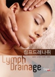 임채강림프드레나쥐