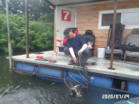 아산신수 유료터정보 > 7월의 마지막을 지나는 신수 모습입니다. : 낚시사랑