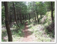 여기는 제주 성산 난산리에 위치한 곳....^^ > 십년전오늘 여기는 제주 성산 난산리에 위치한 곳....^^ > SIR