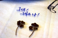 그누보드 - 그대! 그리고 나! > 자유게시판 그대! 그리고 나! > SIR