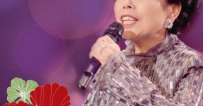 제 최신글 스킨에는 이미자가 나오는 기능이 없습니다. - SIR - 개발자 커뮤니티