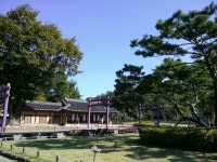다산(茶山)의 발자취를 찾아서 > 힣 다산(茶山)의 발자취를 찾아서 > SIR