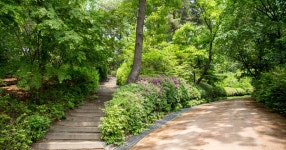 점심먹고 산책하기 좋은 궁산공원 - SIR - 개발자 커뮤니티