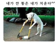 내가 싼 똥은 내가 치운다 > 유머게시판 내가 싼 똥은 내가 치운다 > SIR