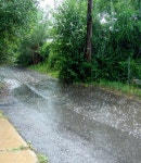 사진으로 보는 날씨 > 비(Rain) > 소지구 사진으로 보는 날씨 > 비(Rain) > SIR