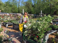 농원 다녀 왔슴돠~~~ > 해외사용자 농원 다녀 왔슴돠~~~ > SIR