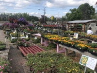 농원 다녀 왔슴돠~~~ > 해외사용자 농원 다녀 왔슴돠~~~ > SIR