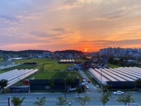 석양 - 안성맞춤아트홀에서 > 자유게시판 석양 - 안성맞춤아트홀에서 > SIR