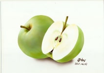 청사과를 그려봤습니다. - SIR - 개발자 커뮤니티