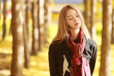 경주 도리마을 > 자유게시판 경주 도리마을 > SIR