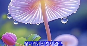 오늘도 즐거움과 행복이 함께하는 멋진 하루 되세요. - SIR - 개발자 커뮤니티
