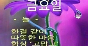 오늘 금요일 입니다. 마지막까지 힘내시고 행복한 시간 되세요. - SIR - 개발자 커뮤니티