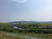 여주보가 보입니다. > 자유게시판 여주보가 보입니다. > SIR