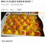 할머니? 왜 이 천을 복숭아에 넣죠? > 유머게시판 할머니? 왜 이 천을 복숭아에 넣죠? > SIR