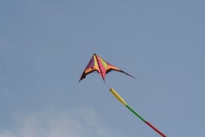 창공을 나르는 연 > 사진게시판 창공을 나르는 연 > SIR