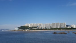 다대포 해수욕장 - SIR - 개발자 커뮤니티