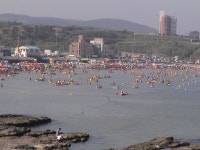 구룡포해수욕장 > 사진게시판 구룡포해수욕장 > SIR