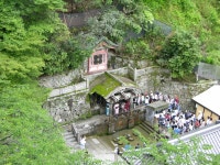 청수사에서.. > 사진게시판 청수사에서.. > SIR