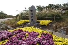 월드컵경기장 하늘공원2 > 사진게시판 월드컵경기장 하늘공원2 > SIR