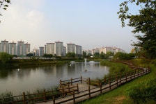 그누보드 - 구리 , 코스모스 축제 와 호수공원 1 > 사진게시판 구리 , 코스모스 축제 와 호수공원 1 > SIR