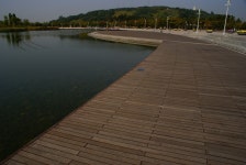 그누보드 - 월드컵경기장 공원6 > 사진게시판 월드컵경기장 공원6 > SIR