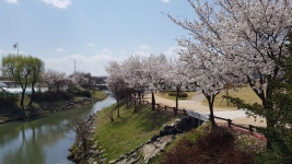 [봄] 장자못 2 - SIR - 개발자 커뮤니티