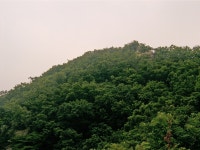 그누보드 - 불곡산 23 > 사진게시판 불곡산 23 > SIR