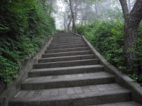 사라봉 계단 산책길 > 사진게시판 사라봉 계단 산책길 > SIR