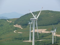 삼양목장 > 사진게시판 삼양목장 > SIR