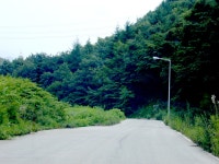 그누보드 - 길가는 자의 꿈-19 > 사진게시판 길가는 자의 꿈-19 > SIR