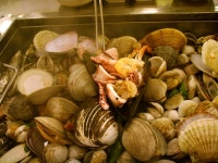 그누보드 - 조개구이 > 사진게시판 조개구이 > SIR