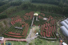 미로공원 > 사진게시판 미로공원 > SIR