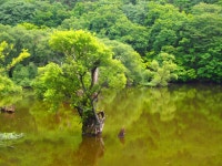 주산지 - SIR - 개발자 커뮤니티
