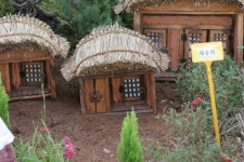 그누보드 - 집 > 사진게시판 집 > SIR