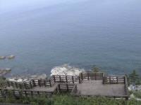 바다공원 > 사진게시판 바다공원 > SIR