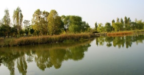 월드컵경기장 공원4 - SIR - 개발자 커뮤니티