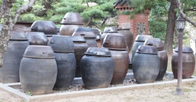 항아리 - SIR - 개발자 커뮤니티