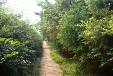 산책길1 > 사진게시판 산책길1 > SIR