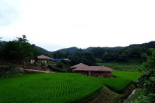 시골집풍경(1) > 사진게시판 시골집풍경(1) > SIR