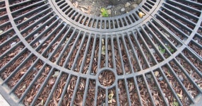 월드컵공원에서 - SIR - 개발자 커뮤니티