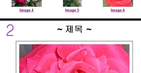 멋진 앨범 만들기 - SIR - 개발자 커뮤니티